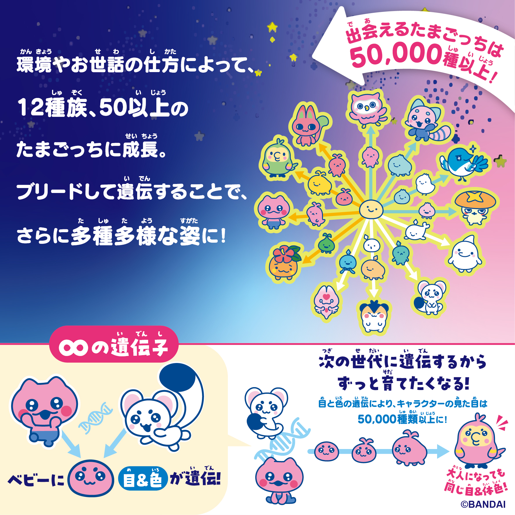 Tamagotchi Paradise - White Glacier Premium Set_説明④
